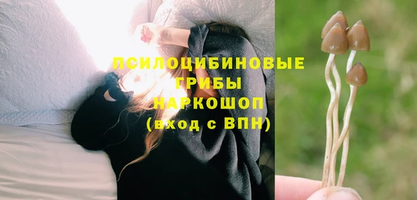 ALPHA PVP Армянск