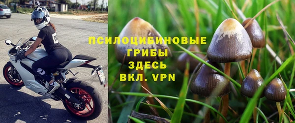 гидра Ростов